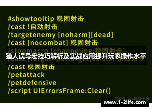 猎人误导宏技巧解析及实战应用提升玩家操作水平